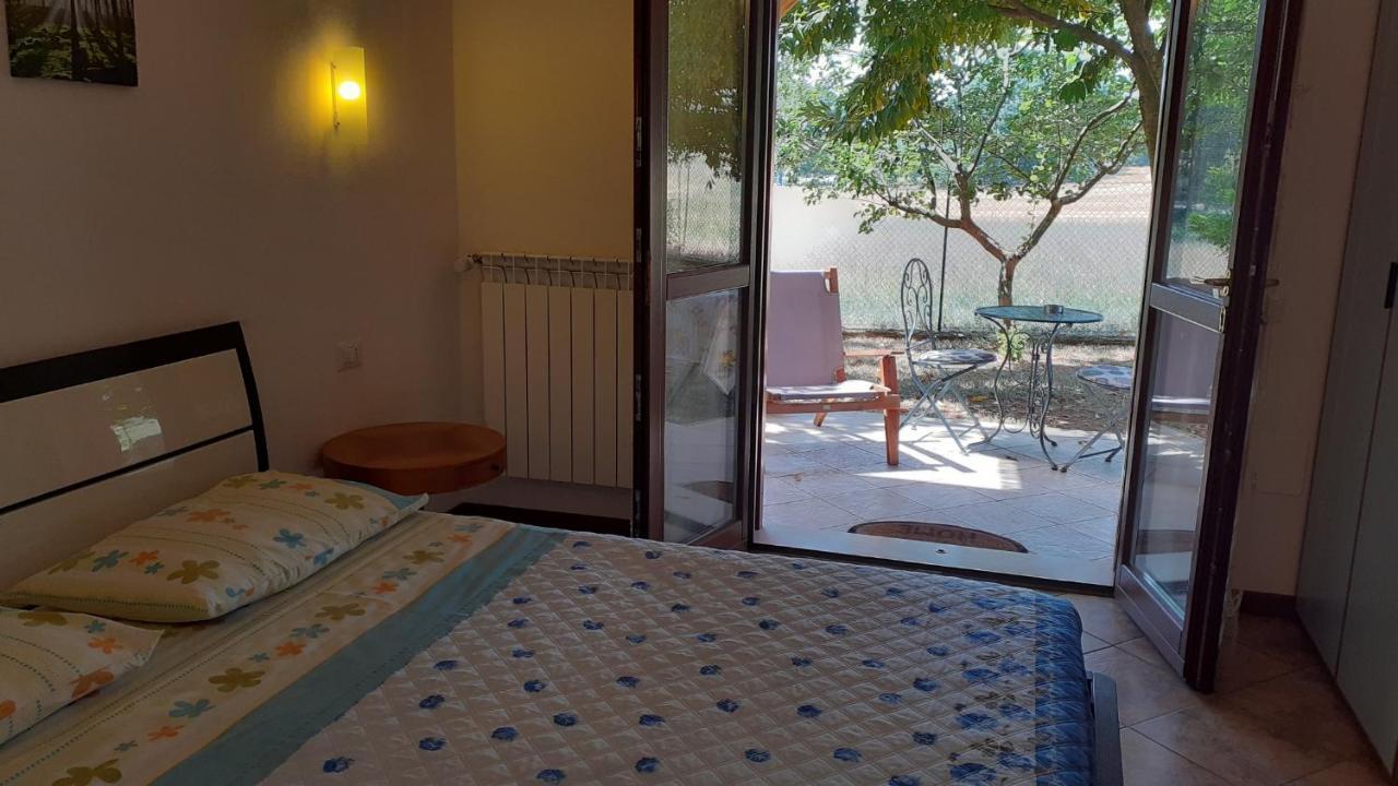 B&B Il Pizzagiallo Massa Martana Eksteriør billede