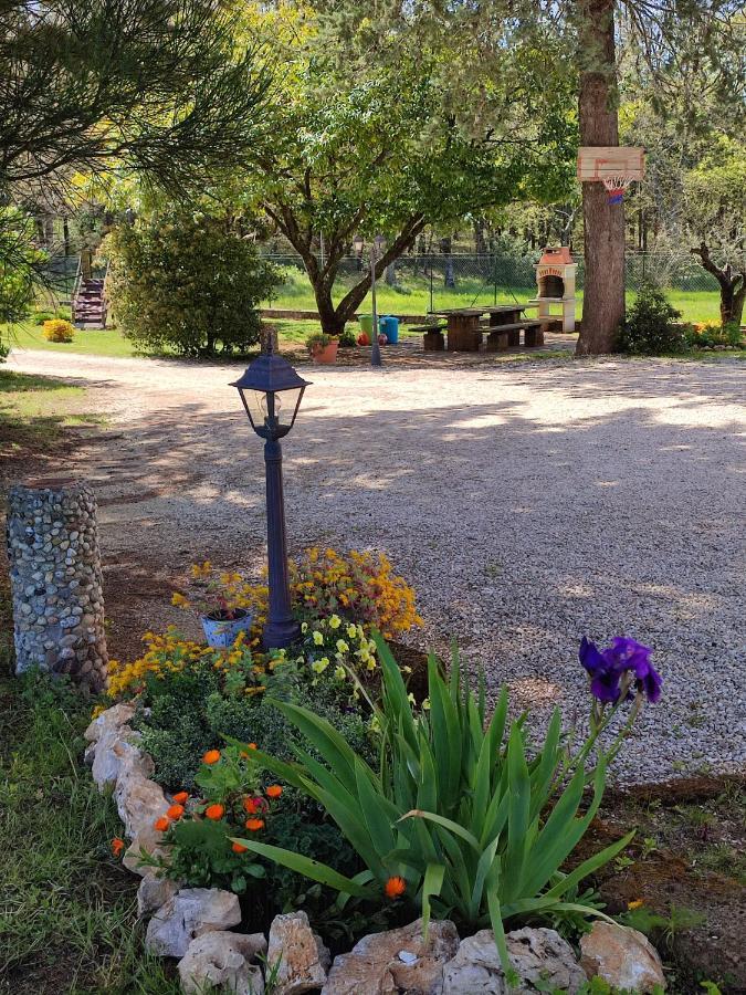 B&B Il Pizzagiallo Massa Martana Eksteriør billede