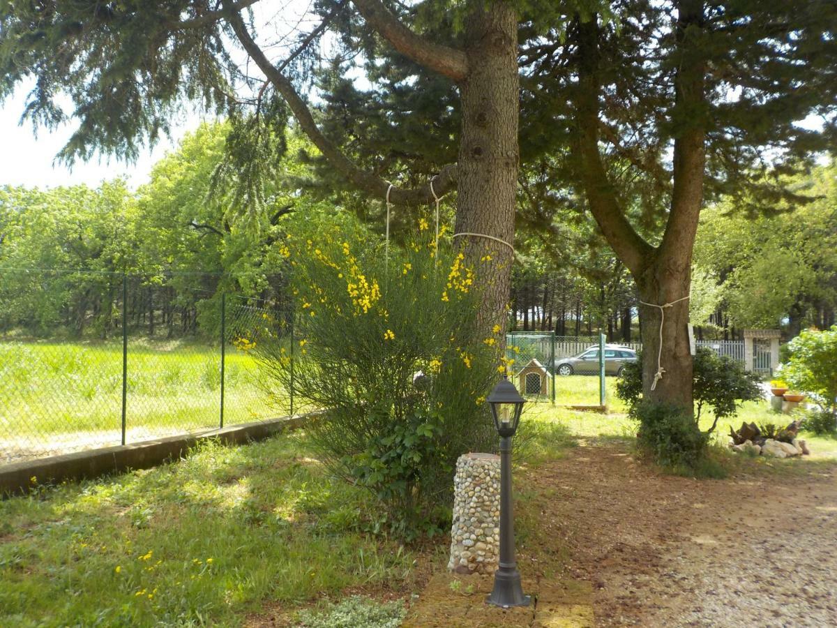 B&B Il Pizzagiallo Massa Martana Eksteriør billede